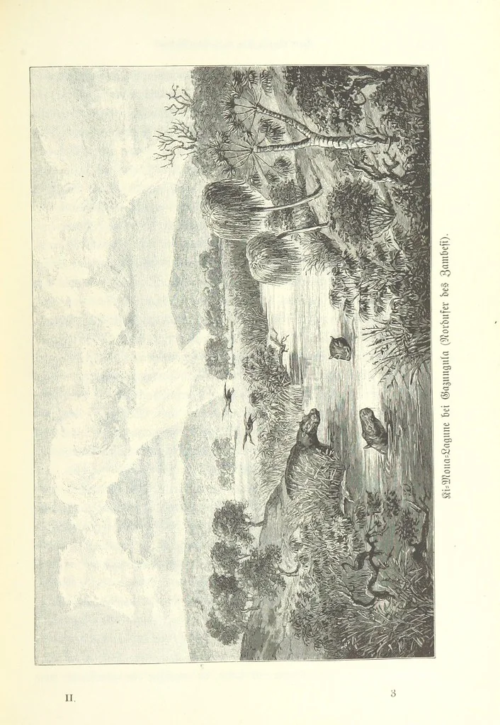 An illustration from Von der Capstadt ins Land der Maschukulumbe. Reisen im südlichen Afrika in den Jahren 1883-1887 ... Mit 205 Original-Holzschnitten, etc, 1890, leaf 631