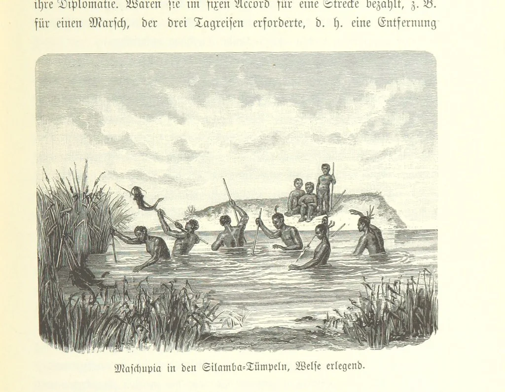 An illustration from Von der Capstadt ins Land der Maschukulumbe. Reisen im südlichen Afrika in den Jahren 1883-1887 ... Mit 205 Original-Holzschnitten, etc, 1890, leaf 639