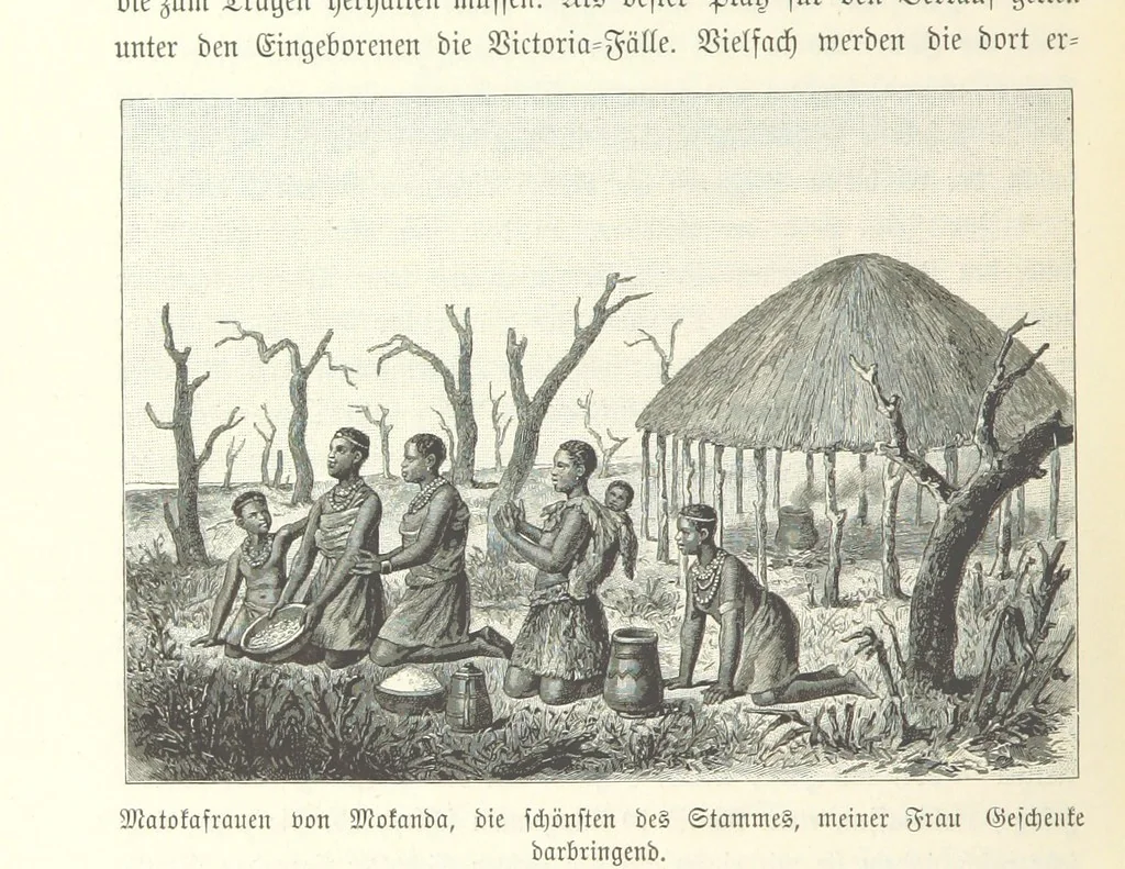An illustration from Von der Capstadt ins Land der Maschukulumbe. Reisen im südlichen Afrika in den Jahren 1883-1887 ... Mit 205 Original-Holzschnitten, etc, 1890, leaf 646