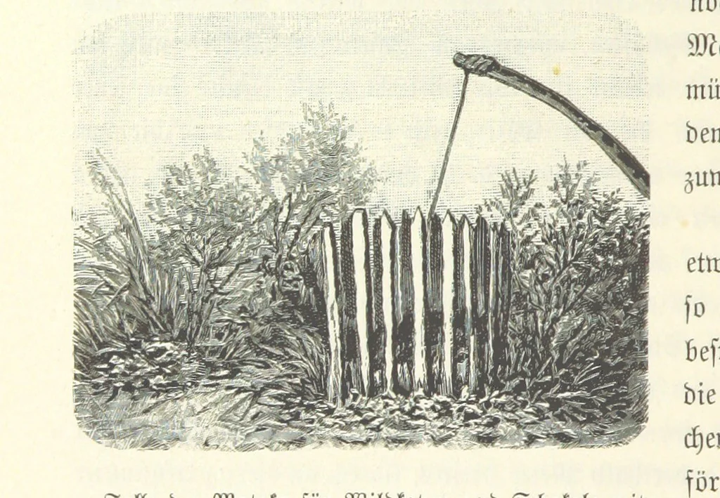 An illustration from Von der Capstadt ins Land der Maschukulumbe. Reisen im südlichen Afrika in den Jahren 1883-1887 ... Mit 205 Original-Holzschnitten, etc, 1890, leaf 650