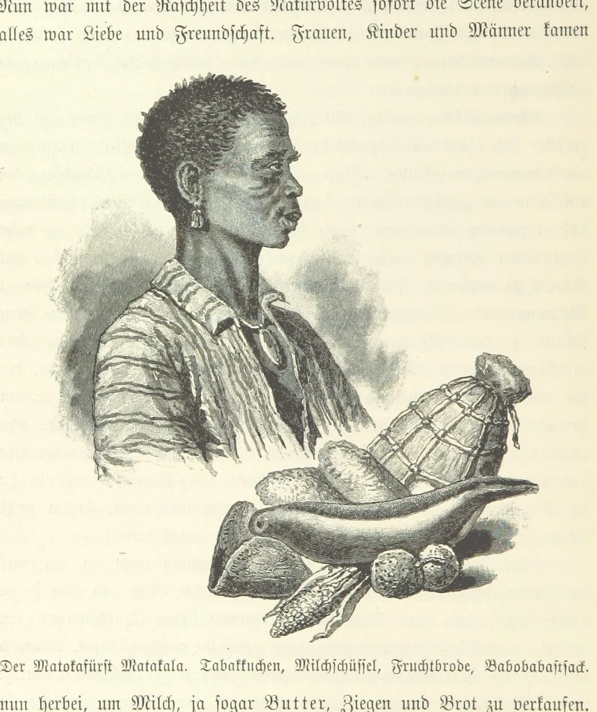 An illustration from Von der Capstadt ins Land der Maschukulumbe. Reisen im südlichen Afrika in den Jahren 1883-1887 ... Mit 205 Original-Holzschnitten, etc, 1890, leaf 654