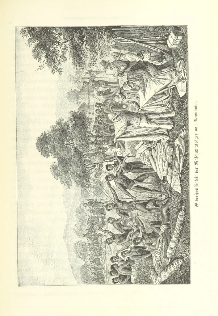 An illustration from Von der Capstadt ins Land der Maschukulumbe. Reisen im südlichen Afrika in den Jahren 1883-1887 ... Mit 205 Original-Holzschnitten, etc, 1890, leaf 655