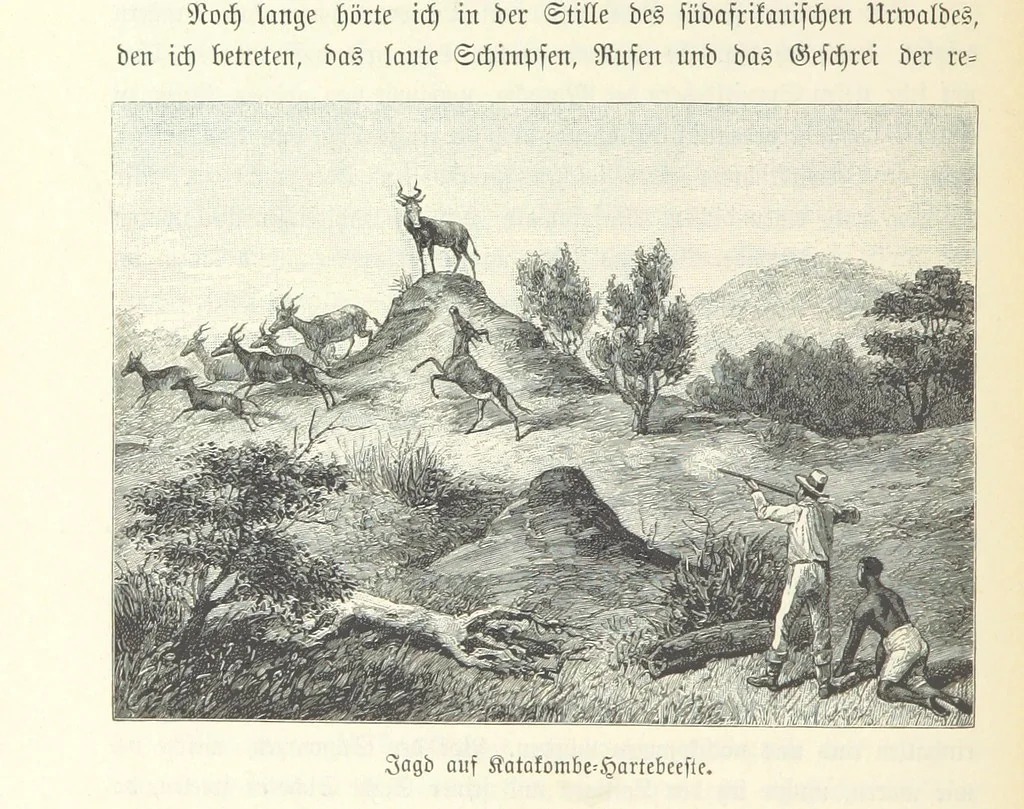 An illustration from Von der Capstadt ins Land der Maschukulumbe. Reisen im südlichen Afrika in den Jahren 1883-1887 ... Mit 205 Original-Holzschnitten, etc, 1890, leaf 710