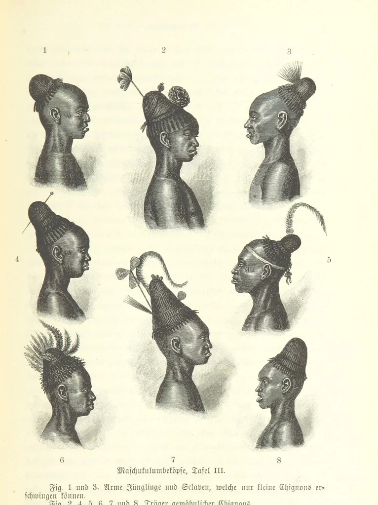 An illustration from Von der Capstadt ins Land der Maschukulumbe. Reisen im südlichen Afrika in den Jahren 1883-1887 ... Mit 205 Original-Holzschnitten, etc, 1890, leaf 809