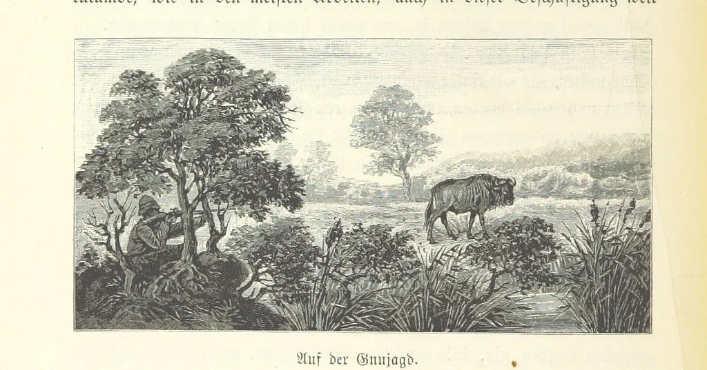 An illustration from Von der Capstadt ins Land der Maschukulumbe. Reisen im südlichen Afrika in den Jahren 1883-1887 ... Mit 205 Original-Holzschnitten, etc, 1890, leaf 814