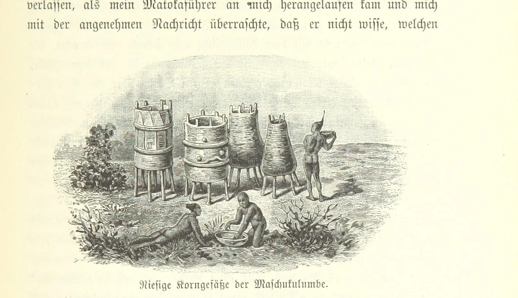 An illustration from Von der Capstadt ins Land der Maschukulumbe. Reisen im südlichen Afrika in den Jahren 1883-1887 ... Mit 205 Original-Holzschnitten, etc, 1890, leaf 819