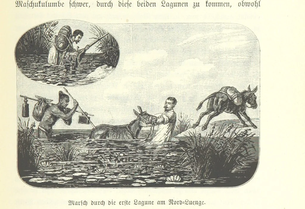 An illustration from Von der Capstadt ins Land der Maschukulumbe. Reisen im südlichen Afrika in den Jahren 1883-1887 ... Mit 205 Original-Holzschnitten, etc, 1890, leaf 873