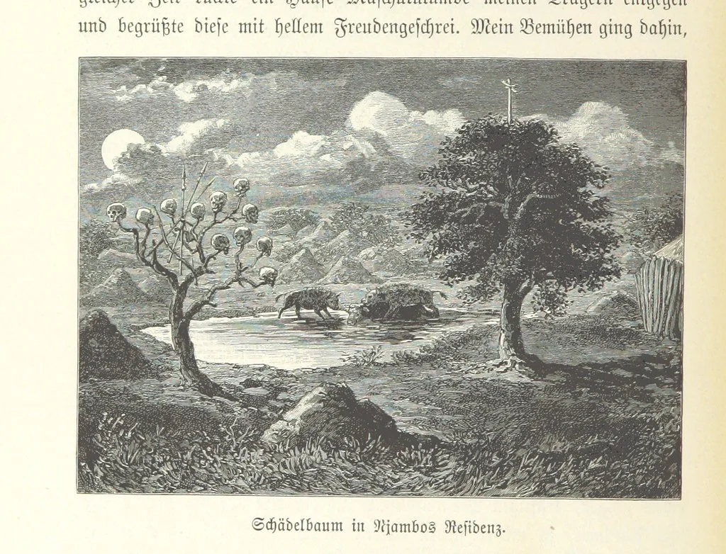 An illustration from Von der Capstadt ins Land der Maschukulumbe. Reisen im südlichen Afrika in den Jahren 1883-1887 ... Mit 205 Original-Holzschnitten, etc, 1890, leaf 902