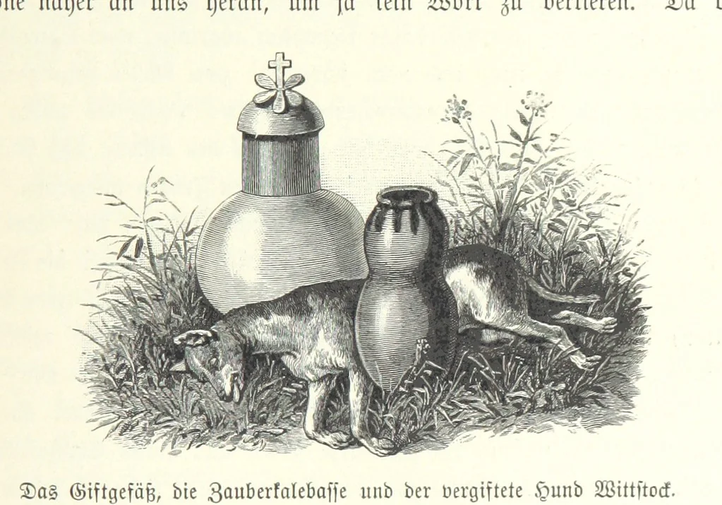 An illustration from Von der Capstadt ins Land der Maschukulumbe. Reisen im südlichen Afrika in den Jahren 1883-1887 ... Mit 205 Original-Holzschnitten, etc, 1890, leaf 913