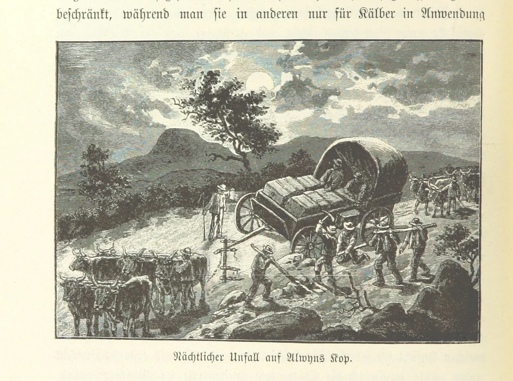 An illustration from Von der Capstadt ins Land der Maschukulumbe. Reisen im südlichen Afrika in den Jahren 1883-1887 ... Mit 205 Original-Holzschnitten, etc, 1890, leaf 92