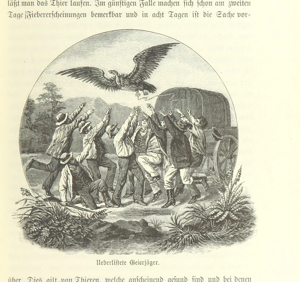 An illustration from Von der Capstadt ins Land der Maschukulumbe. Reisen im südlichen Afrika in den Jahren 1883-1887 ... Mit 205 Original-Holzschnitten, etc, 1890, leaf 93