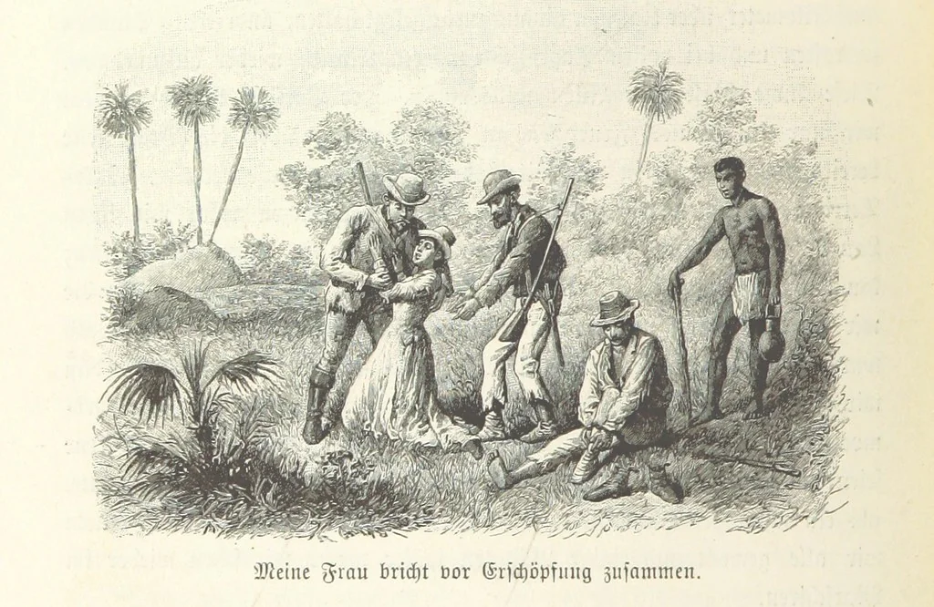 An illustration from Von der Capstadt ins Land der Maschukulumbe. Reisen im südlichen Afrika in den Jahren 1883-1887 ... Mit 205 Original-Holzschnitten, etc, 1890, leaf 982