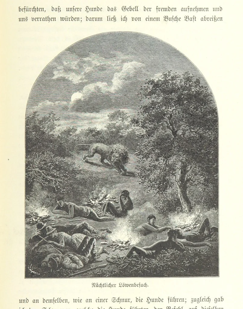 An illustration from Von der Capstadt ins Land der Maschukulumbe. Reisen im südlichen Afrika in den Jahren 1883-1887 ... Mit 205 Original-Holzschnitten, etc, 1890, leaf 983