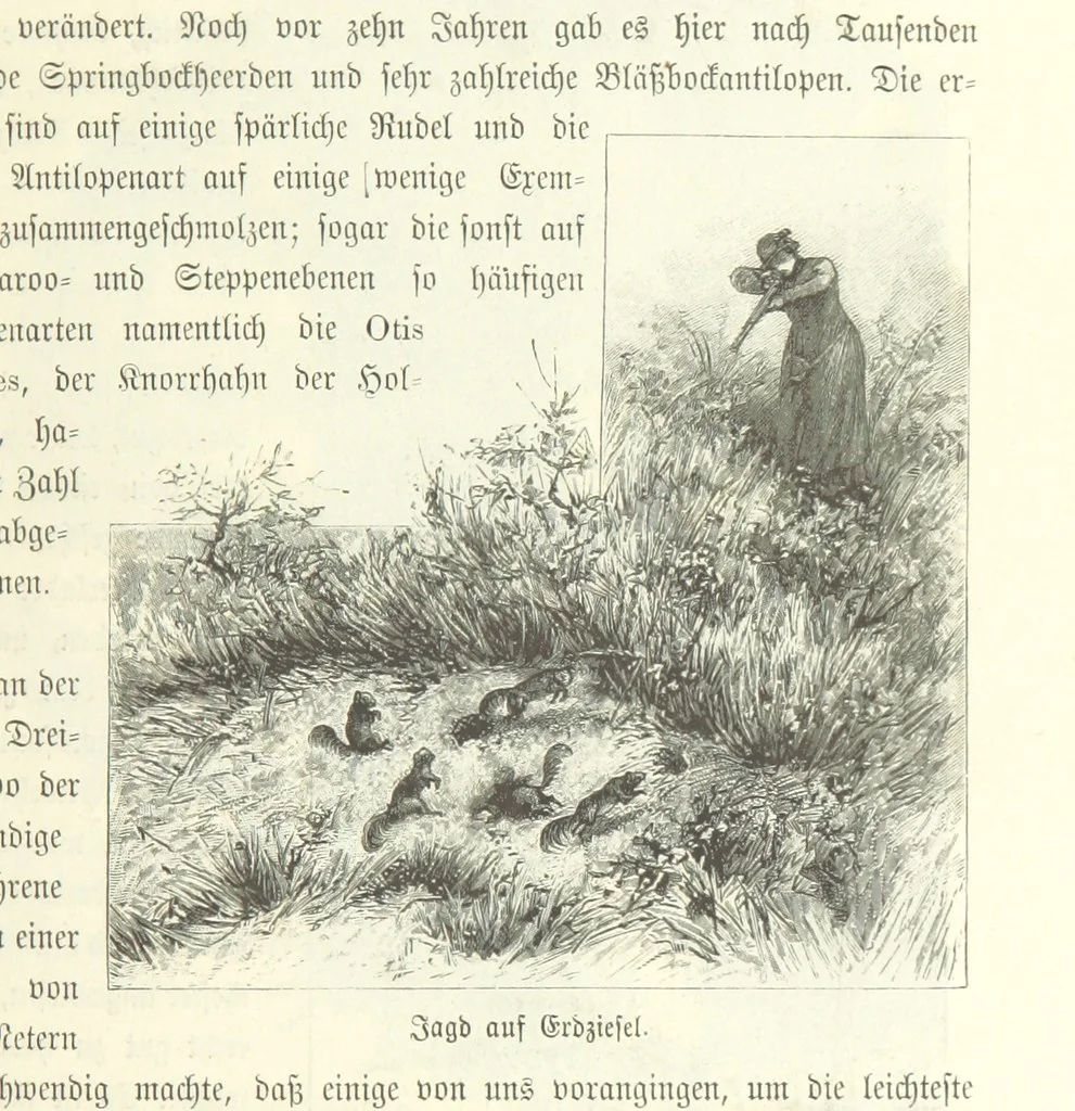 An illustration from Von der Capstadt ins Land der Maschukulumbe. Reisen im südlichen Afrika in den Jahren 1883-1887 ... Mit 205 Original-Holzschnitten, etc, 1890, leaf 99
