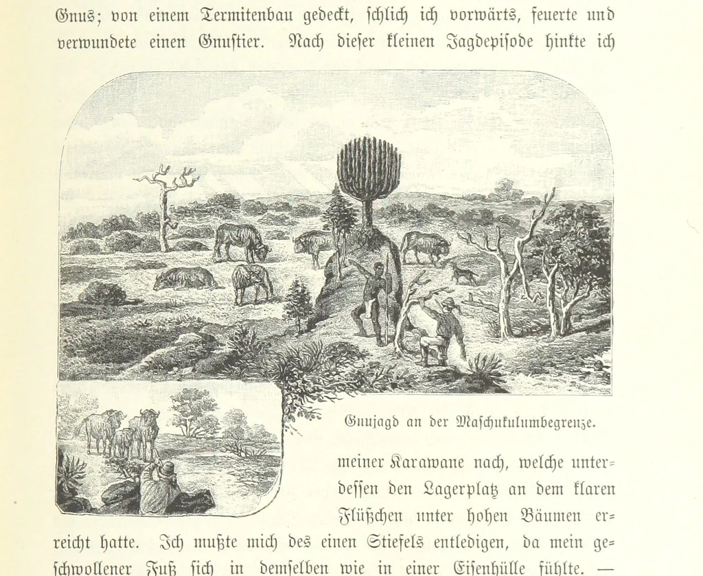 An illustration from Von der Capstadt ins Land der Maschukulumbe. Reisen im südlichen Afrika in den Jahren 1883-1887 ... Mit 205 Original-Holzschnitten, etc, 1890, leaf 993