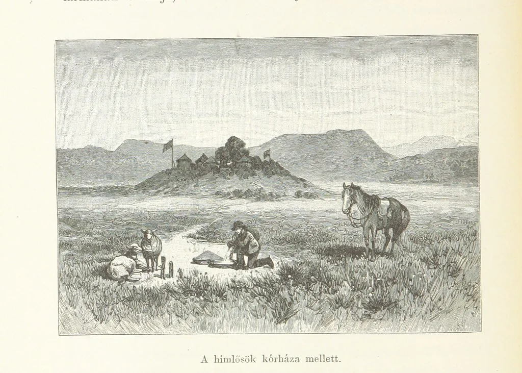 An illustration from A Fokvárostól a Masukulumbék országába, 1883-1887 ... Jogosított kiadás, ... 160 ... fametszettel és 2 térképpel, 1890, leaf 104