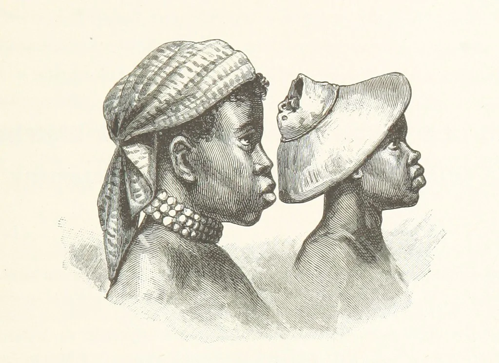 An illustration from A Fokvárostól a Masukulumbék országába, 1883-1887 ... Jogosított kiadás, ... 160 ... fametszettel és 2 térképpel, 1890, leaf 111