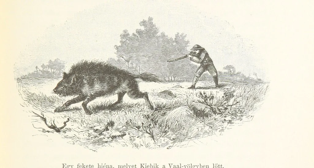 An illustration from A Fokvárostól a Masukulumbék országába, 1883-1887 ... Jogosított kiadás, ... 160 ... fametszettel és 2 térképpel, 1890, leaf 117