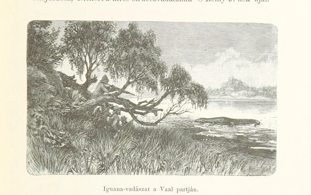 An illustration from A Fokvárostól a Masukulumbék országába, 1883-1887 ... Jogosított kiadás, ... 160 ... fametszettel és 2 térképpel, 1890, leaf 121