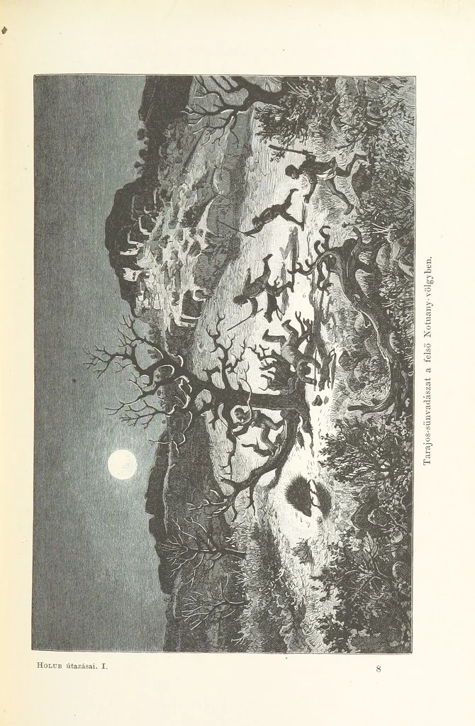 An illustration from A Fokvárostól a Masukulumbék országába, 1883-1887 ... Jogosított kiadás, ... 160 ... fametszettel és 2 térképpel, 1890, leaf 133