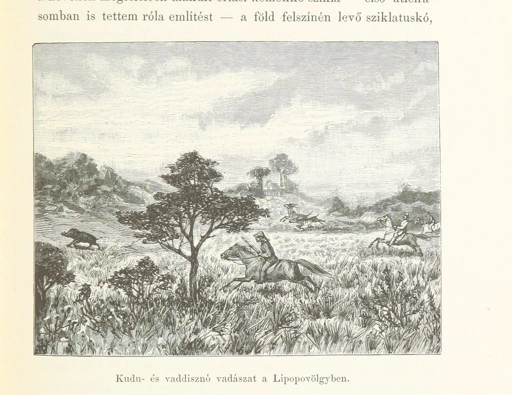 An illustration from A Fokvárostól a Masukulumbék országába, 1883-1887 ... Jogosított kiadás, ... 160 ... fametszettel és 2 térképpel, 1890, leaf 169