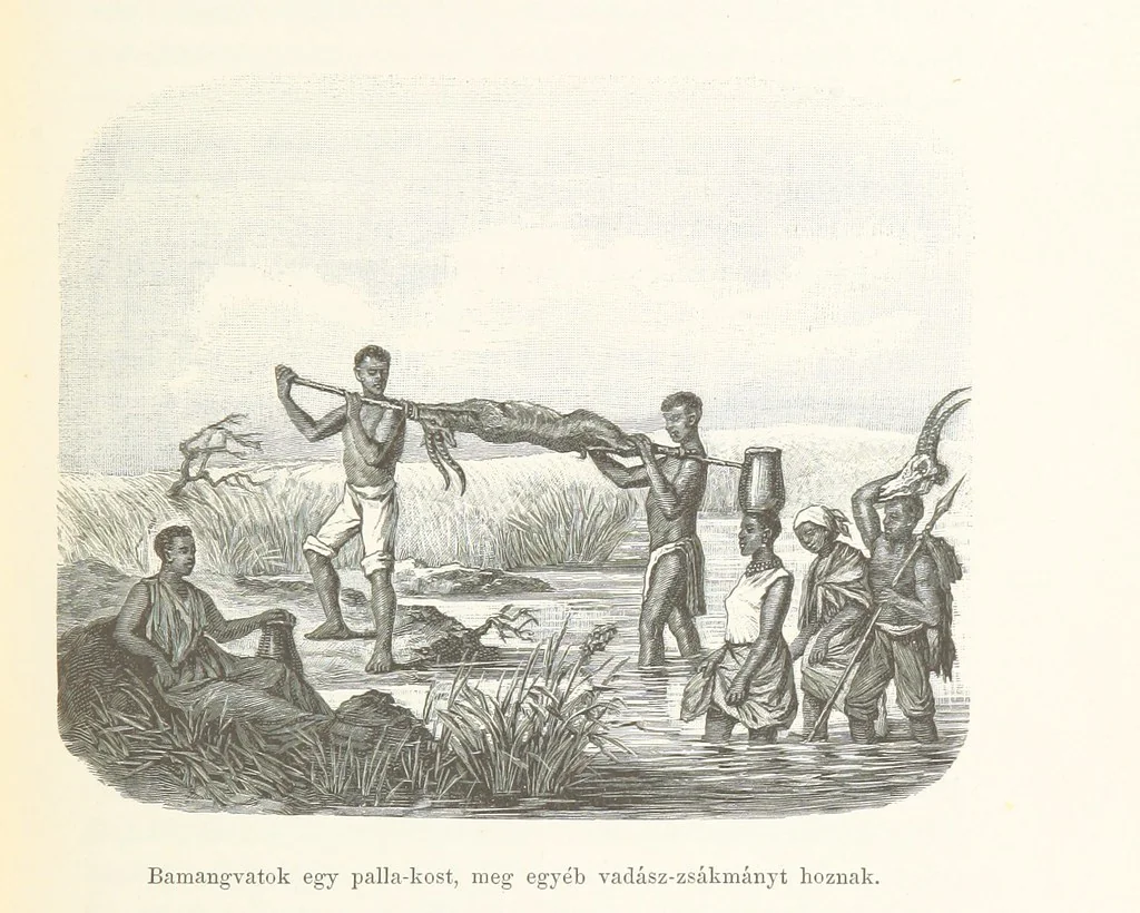 An illustration from A Fokvárostól a Masukulumbék országába, 1883-1887 ... Jogosított kiadás, ... 160 ... fametszettel és 2 térképpel, 1890, leaf 189