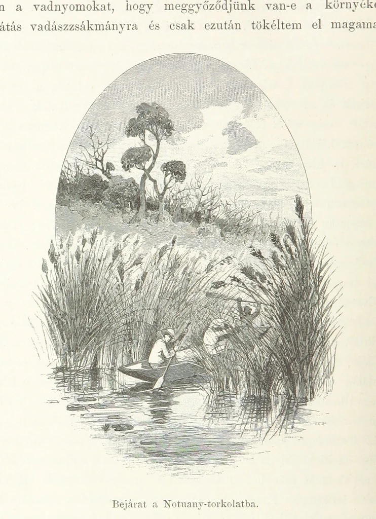 An illustration from A Fokvárostól a Masukulumbék országába, 1883-1887 ... Jogosított kiadás, ... 160 ... fametszettel és 2 térképpel, 1890, leaf 204