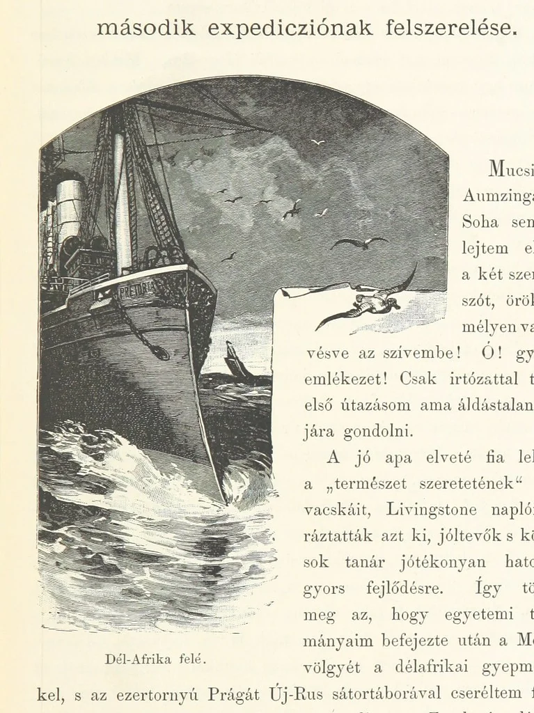 An illustration from A Fokvárostól a Masukulumbék országába, 1883-1887 ... Jogosított kiadás, ... 160 ... fametszettel és 2 térképpel, 1890, leaf 21