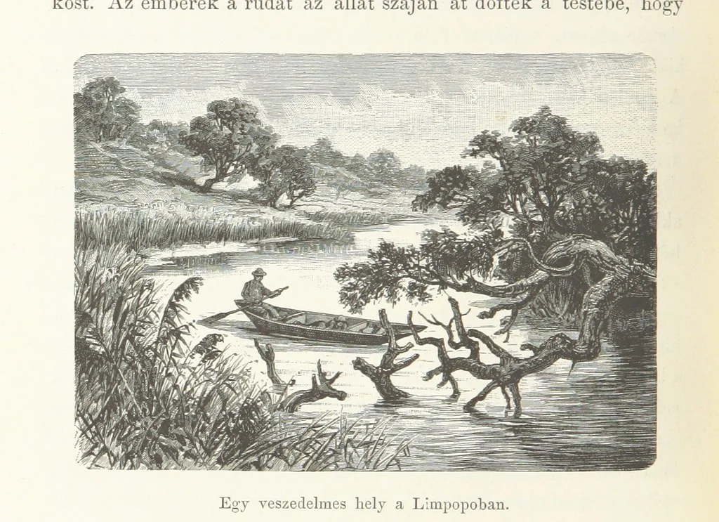 An illustration from A Fokvárostól a Masukulumbék országába, 1883-1887 ... Jogosított kiadás, ... 160 ... fametszettel és 2 térképpel, 1890, leaf 212
