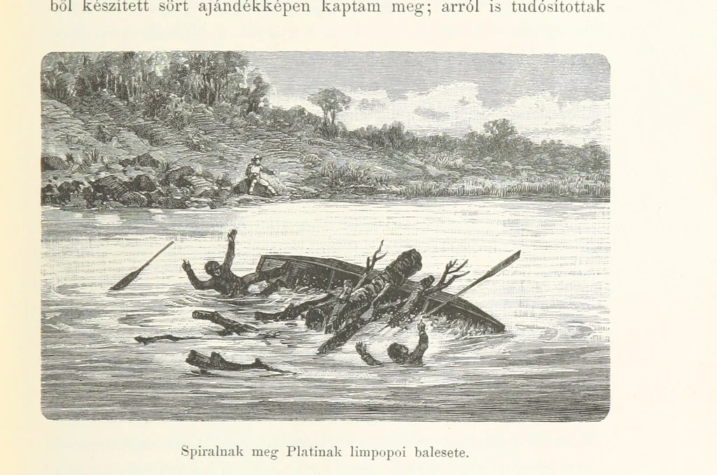 An illustration from A Fokvárostól a Masukulumbék országába, 1883-1887 ... Jogosított kiadás, ... 160 ... fametszettel és 2 térképpel, 1890, leaf 213