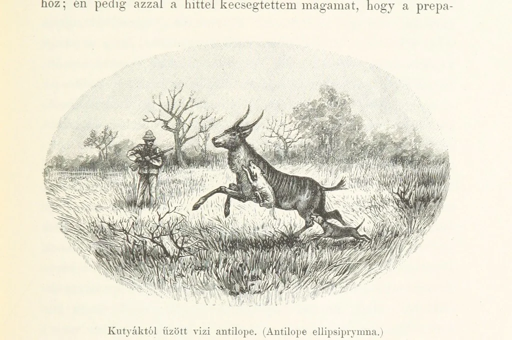 An illustration from A Fokvárostól a Masukulumbék országába, 1883-1887 ... Jogosított kiadás, ... 160 ... fametszettel és 2 térképpel, 1890, leaf 221
