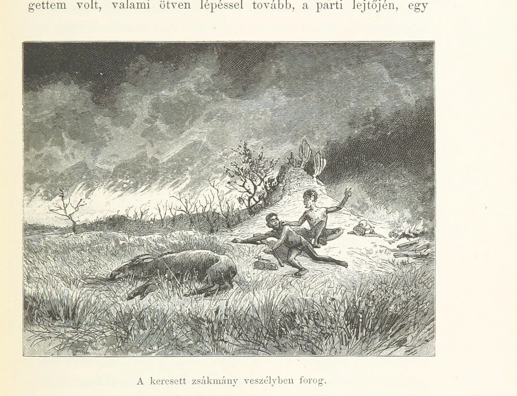 An illustration from A Fokvárostól a Masukulumbék országába, 1883-1887 ... Jogosított kiadás, ... 160 ... fametszettel és 2 térképpel, 1890, leaf 253