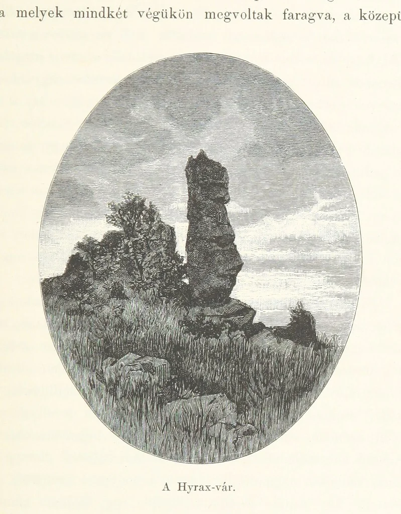 An illustration from A Fokvárostól a Masukulumbék országába, 1883-1887 ... Jogosított kiadás, ... 160 ... fametszettel és 2 térképpel, 1890, leaf 293