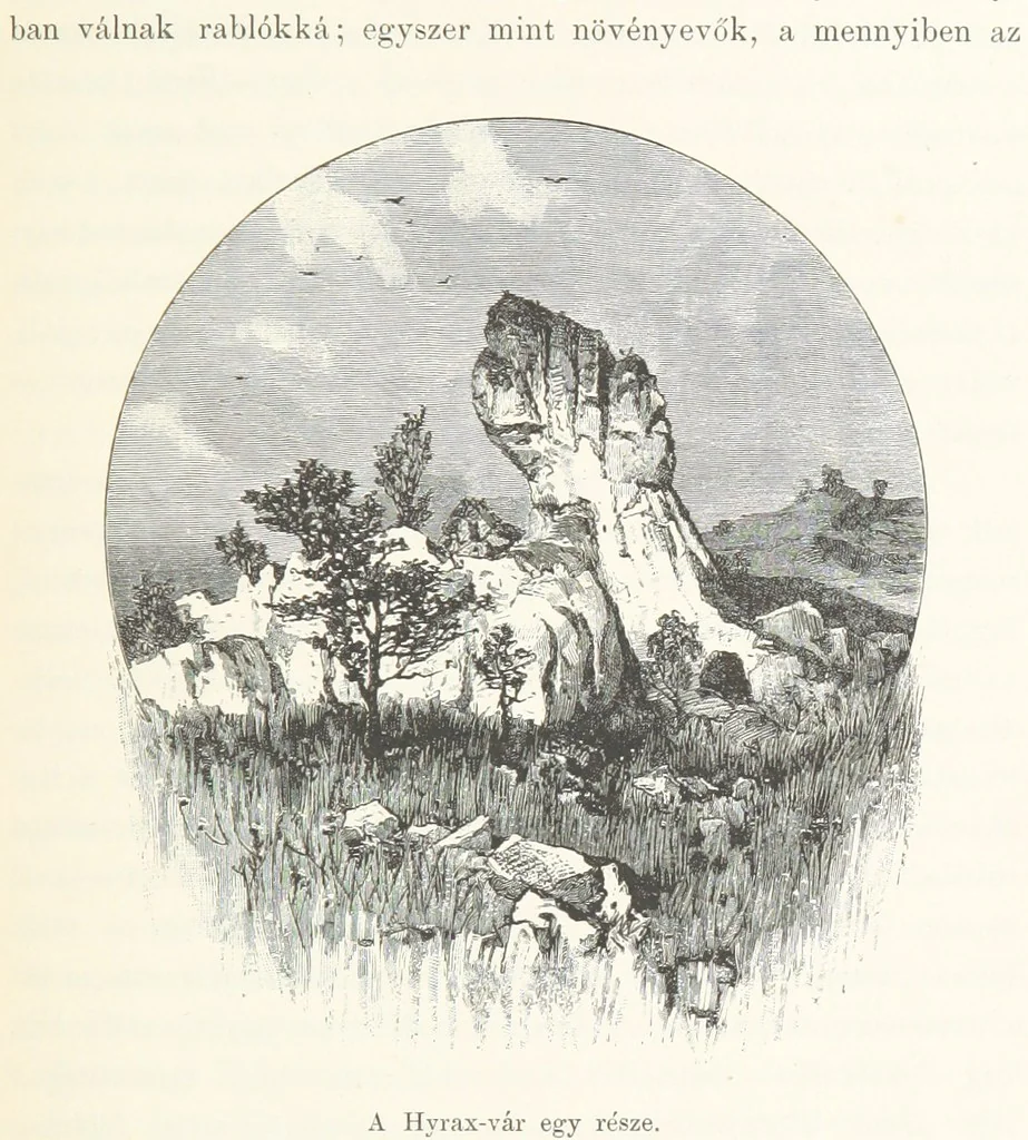 An illustration from A Fokvárostól a Masukulumbék országába, 1883-1887 ... Jogosított kiadás, ... 160 ... fametszettel és 2 térképpel, 1890, leaf 301