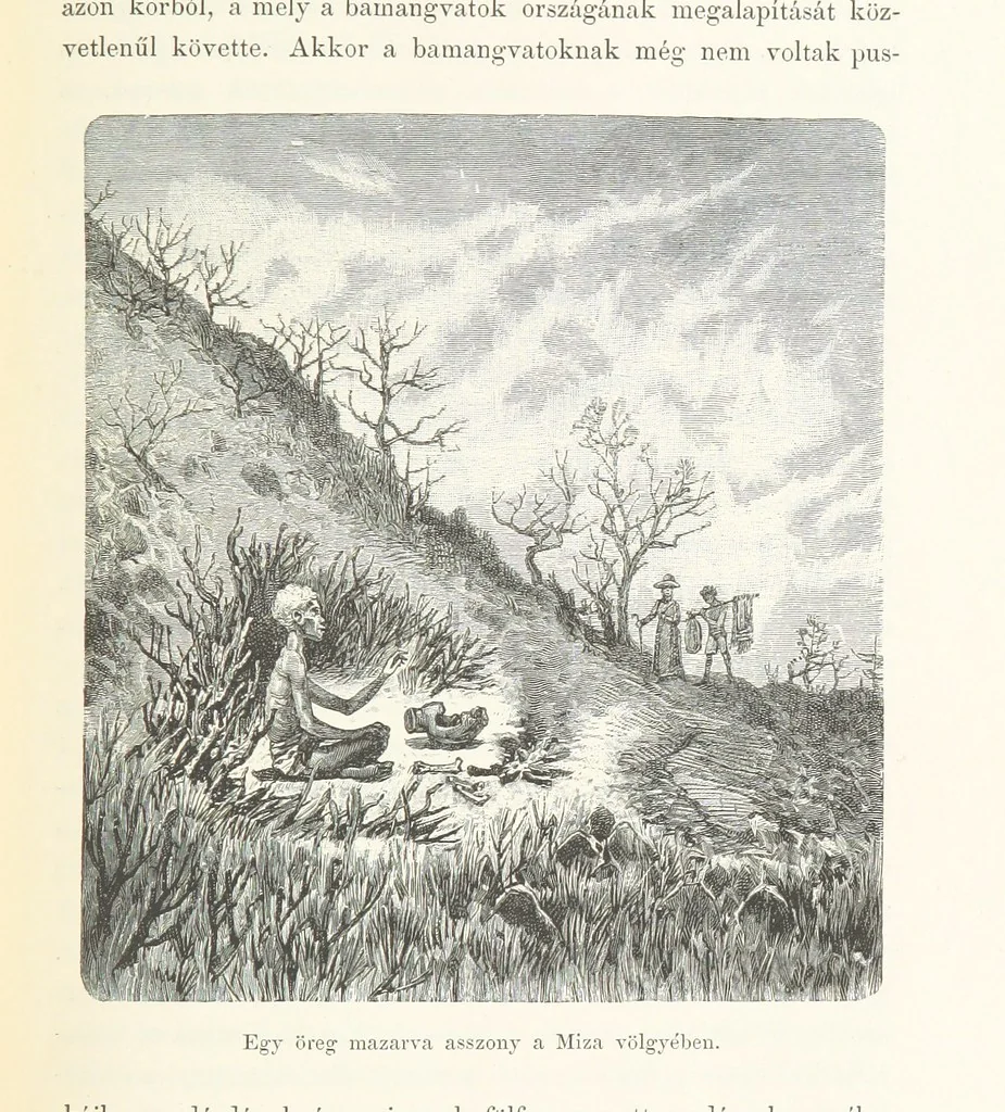 An illustration from A Fokvárostól a Masukulumbék országába, 1883-1887 ... Jogosított kiadás, ... 160 ... fametszettel és 2 térképpel, 1890, leaf 309
