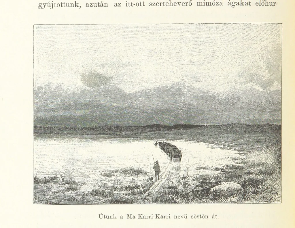 An illustration from A Fokvárostól a Masukulumbék országába, 1883-1887 ... Jogosított kiadás, ... 160 ... fametszettel és 2 térképpel, 1890, leaf 324