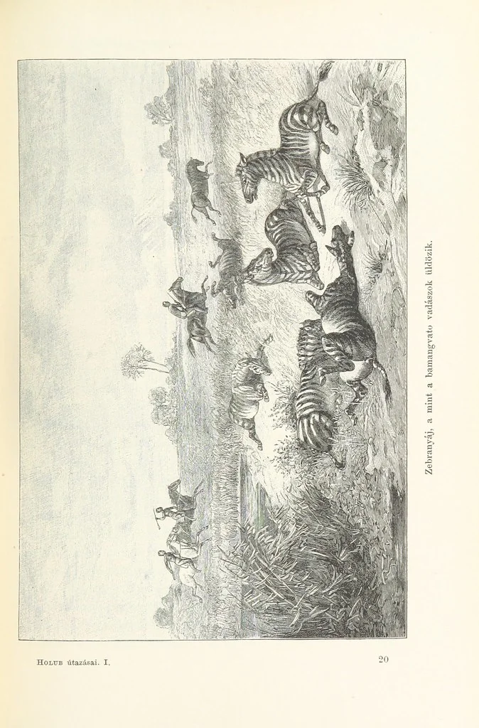 An illustration from A Fokvárostól a Masukulumbék országába, 1883-1887 ... Jogosított kiadás, ... 160 ... fametszettel és 2 térképpel, 1890, leaf 325