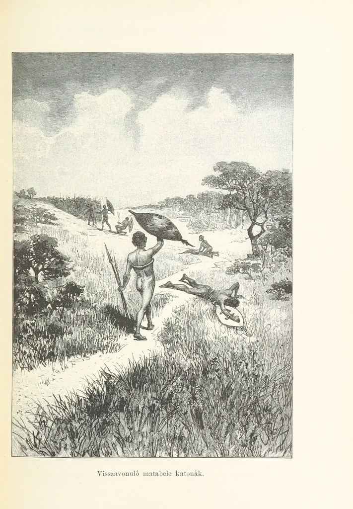 An illustration from A Fokvárostól a Masukulumbék országába, 1883-1887 ... Jogosított kiadás, ... 160 ... fametszettel és 2 térképpel, 1890, leaf 333