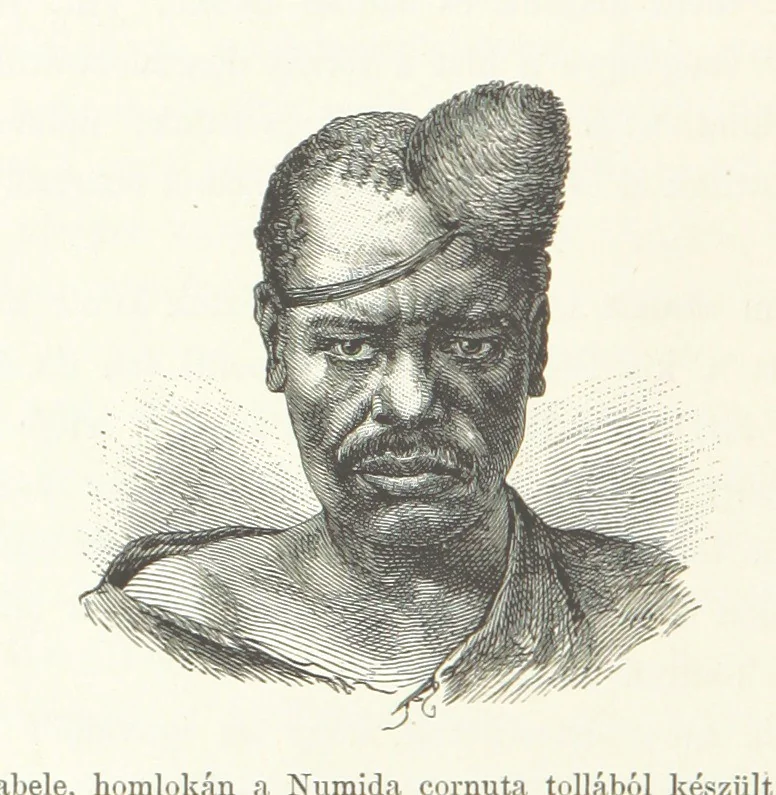 An illustration from A Fokvárostól a Masukulumbék országába, 1883-1887 ... Jogosított kiadás, ... 160 ... fametszettel és 2 térképpel, 1890, leaf 348
