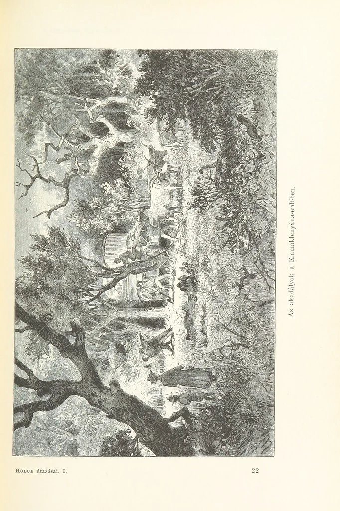 An illustration from A Fokvárostól a Masukulumbék országába, 1883-1887 ... Jogosított kiadás, ... 160 ... fametszettel és 2 térképpel, 1890, leaf 357