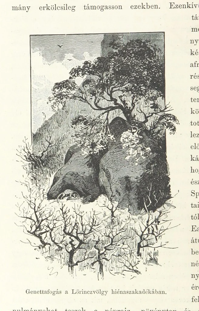 An illustration from A Fokvárostól a Masukulumbék országába, 1883-1887 ... Jogosított kiadás, ... 160 ... fametszettel és 2 térképpel, 1890, leaf 36