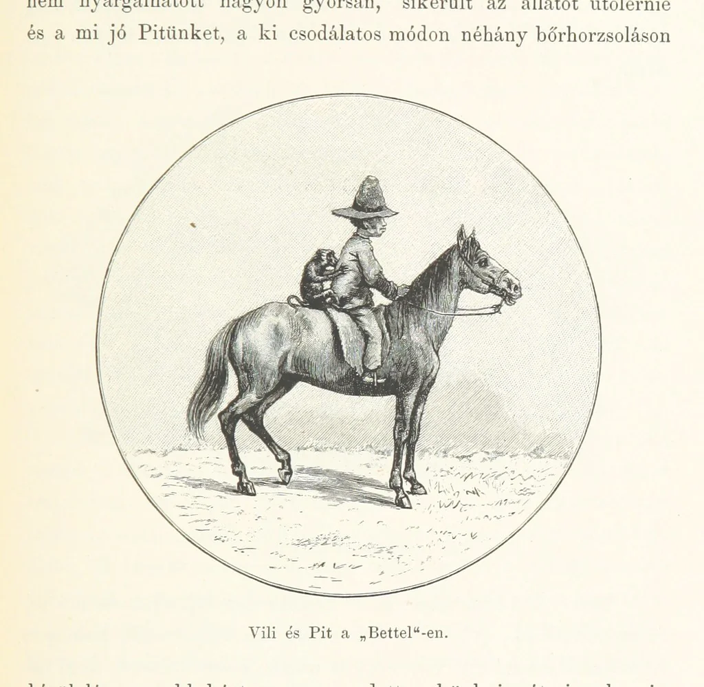 An illustration from A Fokvárostól a Masukulumbék országába, 1883-1887 ... Jogosított kiadás, ... 160 ... fametszettel és 2 térképpel, 1890, leaf 367