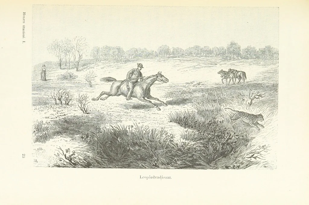 An illustration from A Fokvárostól a Masukulumbék országába, 1883-1887 ... Jogosított kiadás, ... 160 ... fametszettel és 2 térképpel, 1890, leaf 373