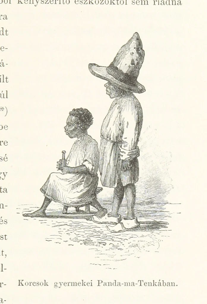 An illustration from A Fokvárostól a Masukulumbék országába, 1883-1887 ... Jogosított kiadás, ... 160 ... fametszettel és 2 térképpel, 1890, leaf 393