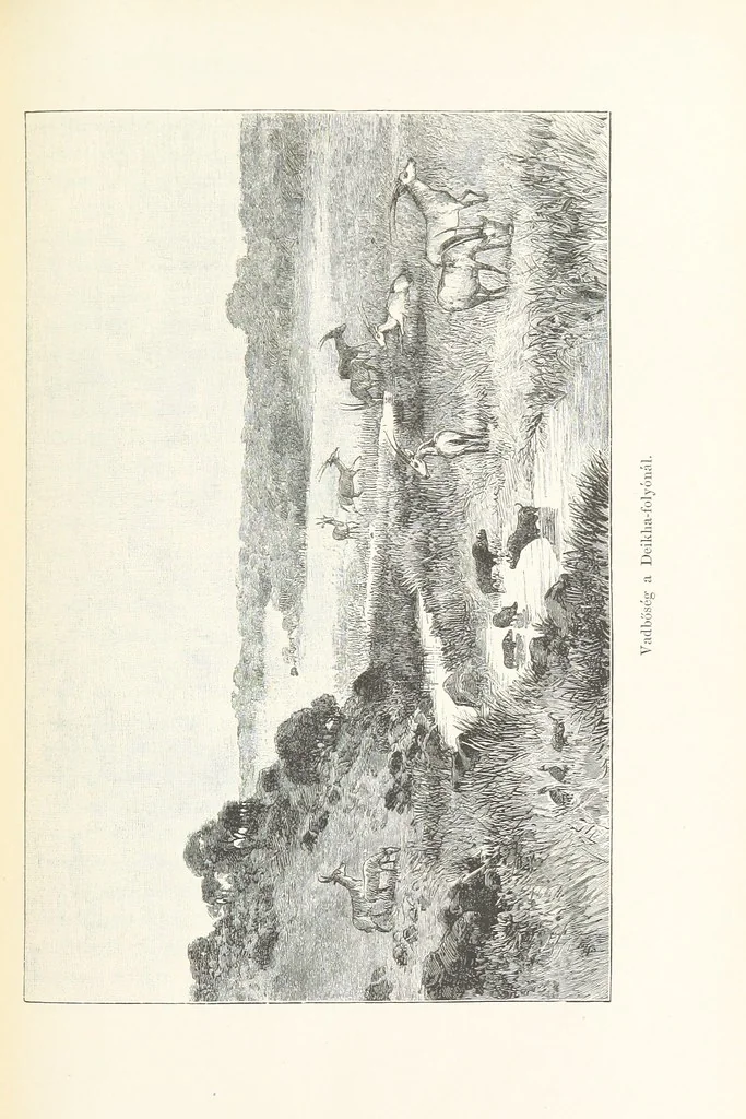 An illustration from A Fokvárostól a Masukulumbék országába, 1883-1887 ... Jogosított kiadás, ... 160 ... fametszettel és 2 térképpel, 1890, leaf 397