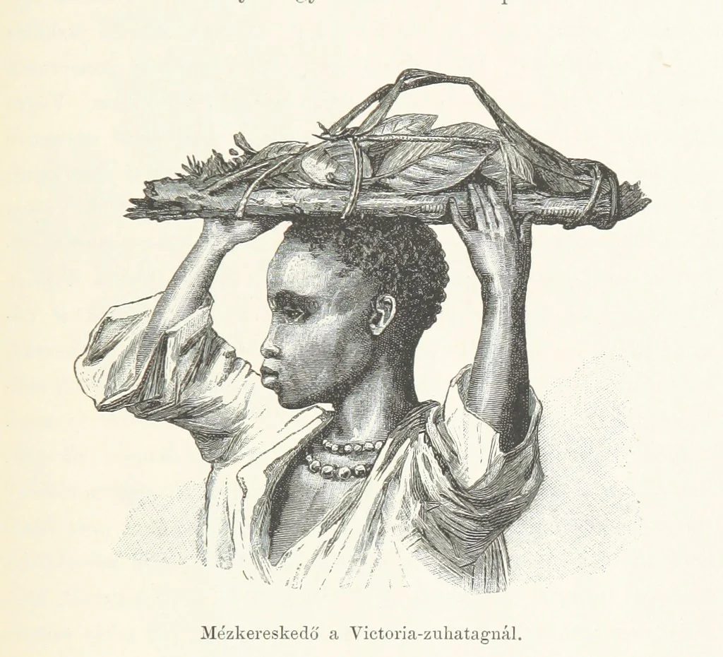 An illustration from A Fokvárostól a Masukulumbék országába, 1883-1887 ... Jogosított kiadás, ... 160 ... fametszettel és 2 térképpel, 1890, leaf 429