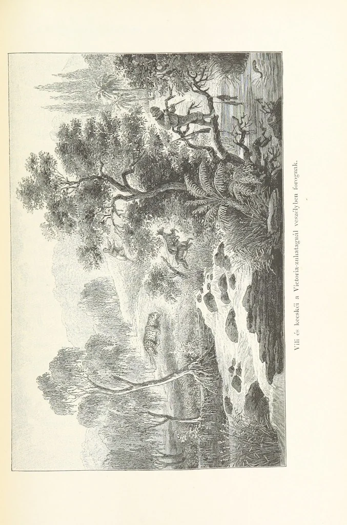 An illustration from A Fokvárostól a Masukulumbék országába, 1883-1887 ... Jogosított kiadás, ... 160 ... fametszettel és 2 térképpel, 1890, leaf 431