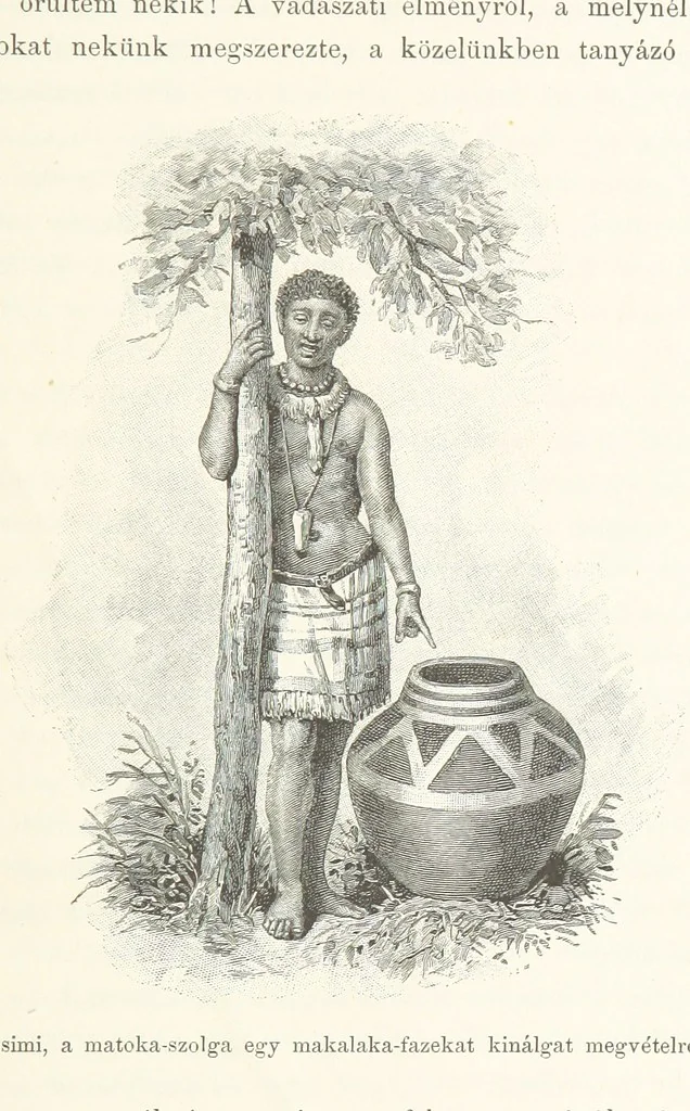 An illustration from A Fokvárostól a Masukulumbék országába, 1883-1887 ... Jogosított kiadás, ... 160 ... fametszettel és 2 térképpel, 1890, leaf 437
