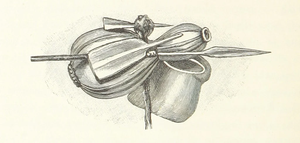 An illustration from A Fokvárostól a Masukulumbék országába, 1883-1887 ... Jogosított kiadás, ... 160 ... fametszettel és 2 térképpel, 1890, leaf 444
