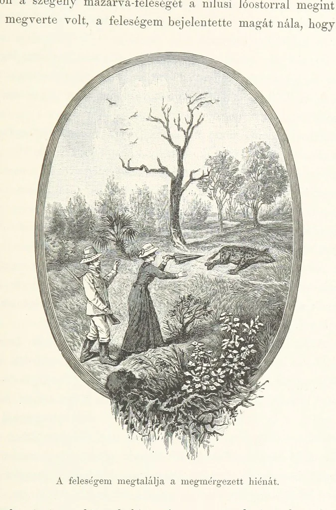 An illustration from A Fokvárostól a Masukulumbék országába, 1883-1887 ... Jogosított kiadás, ... 160 ... fametszettel és 2 térképpel, 1890, leaf 457